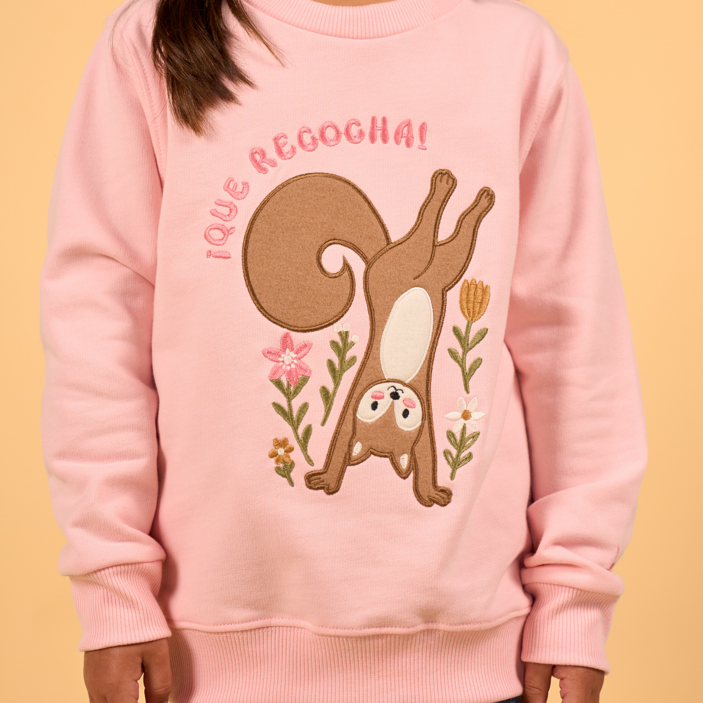 Crewneck Ardilla Rosado