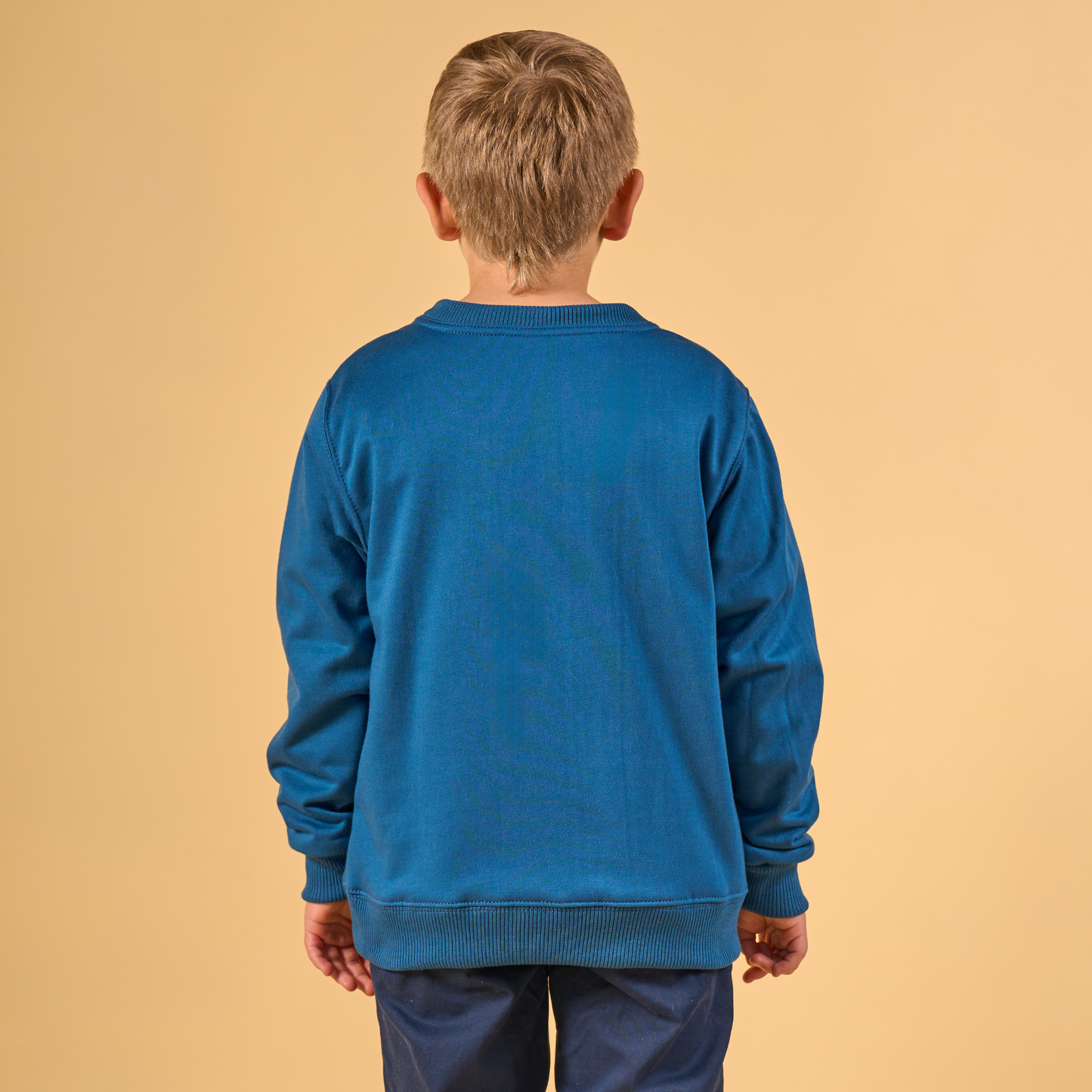 Crewneck Camaleón Azul